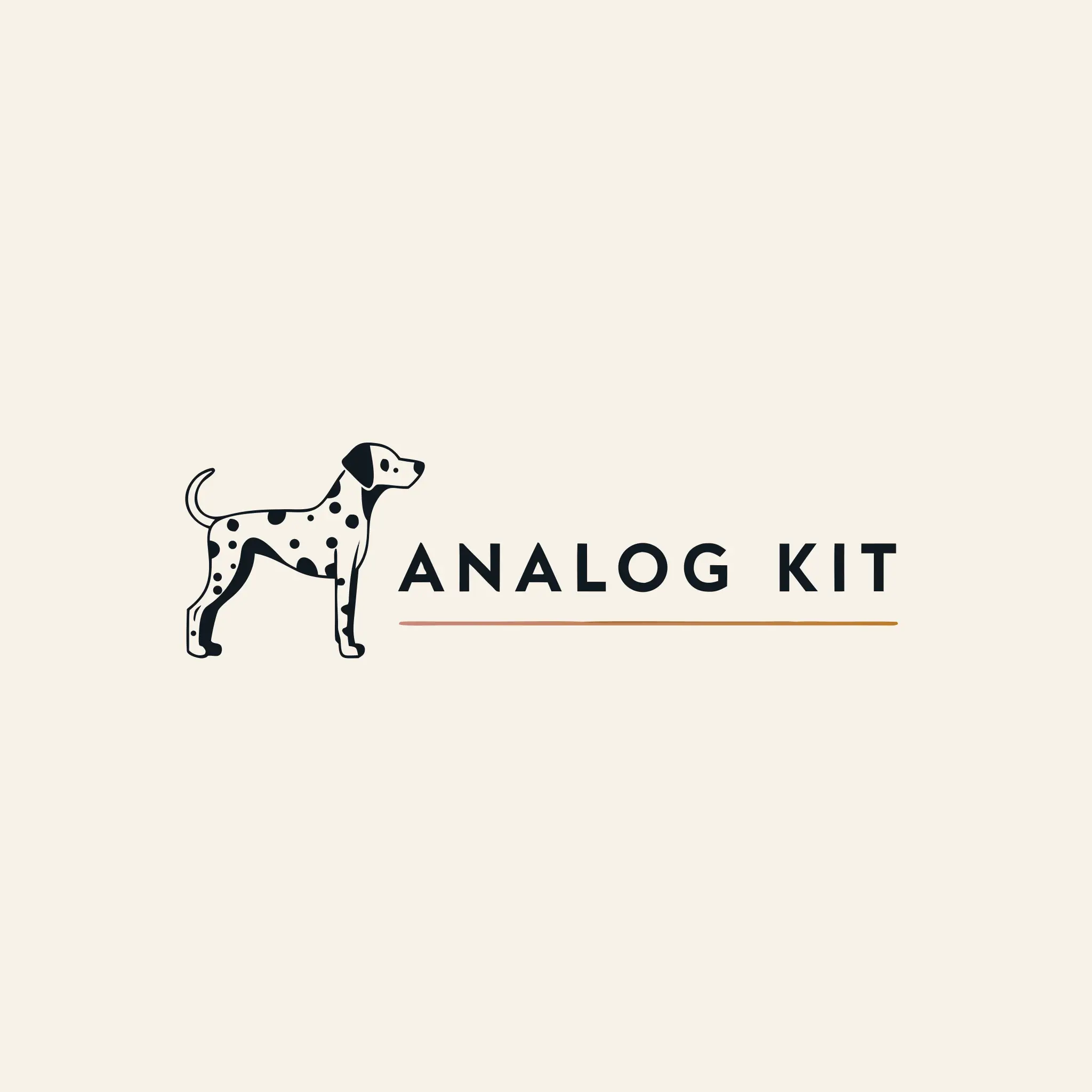 Analog Kit
